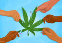 Cannabis Regulations and the Road to Legalization – What Governments Need to Know