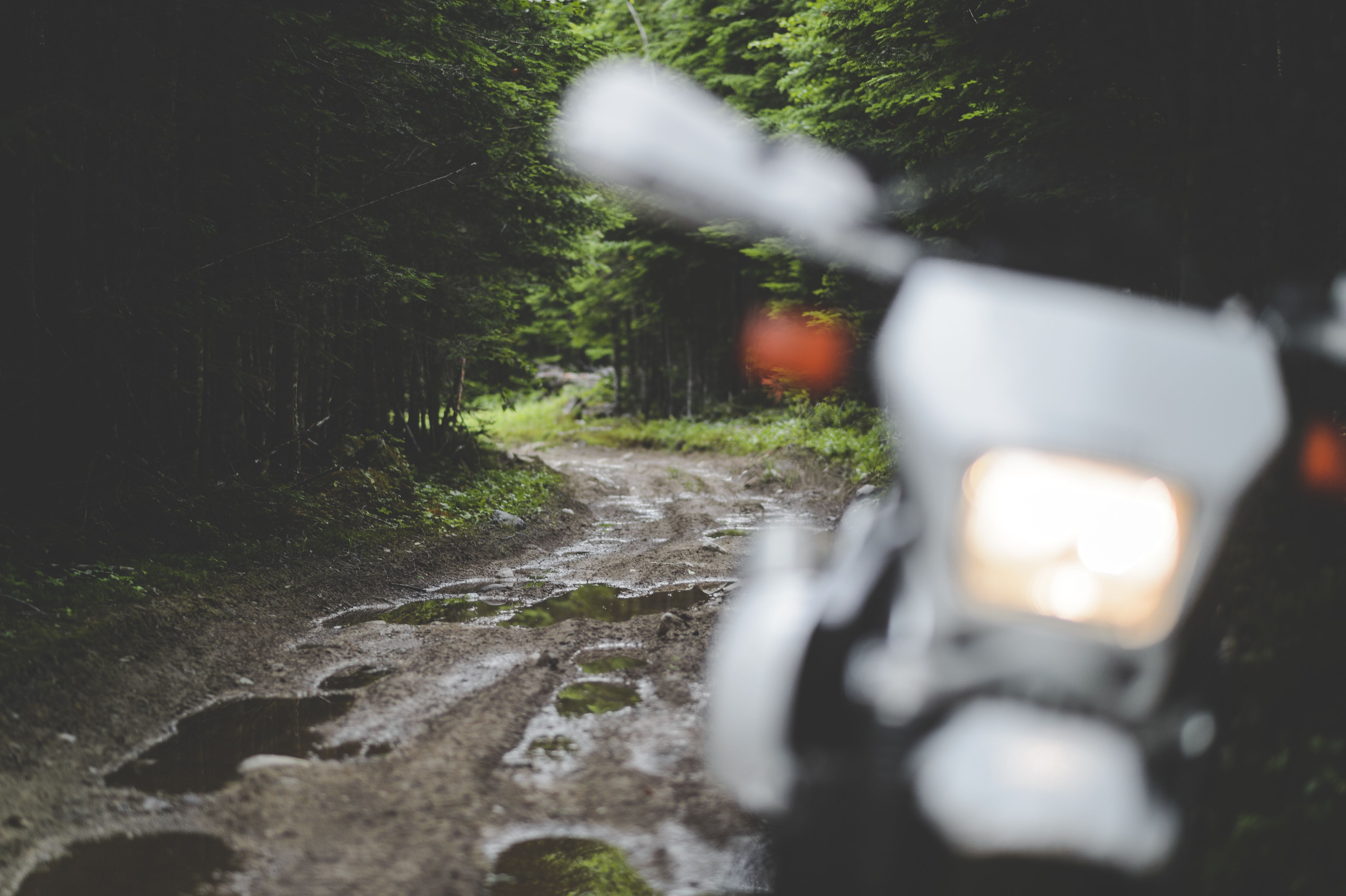 Motorbike parked on a dirt road with puddles in a lush forest after rain